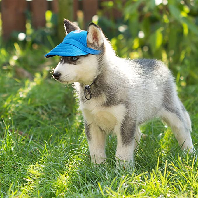 🧢Gorra Beisbolera para Peluditos: Estilo, Comodidad y Protección al Sol 🐾
