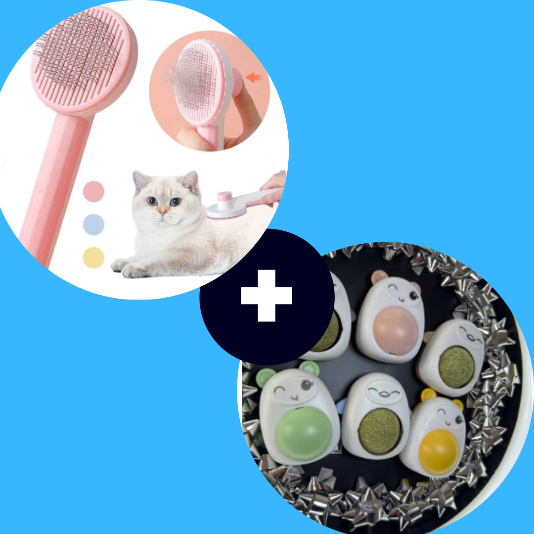 Diversión y Cuidado en un Solo Combo para Tu Peludo