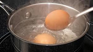 ¡La Forma Más Divertida y Creativa de Cocer tus Huevos! 🍳🐧