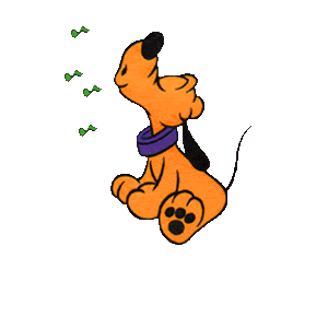 🧢Gorra Beisbolera para Peluditos: Estilo, Comodidad y Protección al Sol 🐾