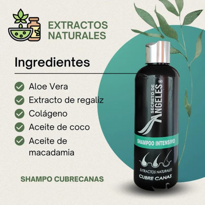 ✨ Cubre tus canas de manera natural sin tintes y químicos costosos 🌿💆‍♀️
