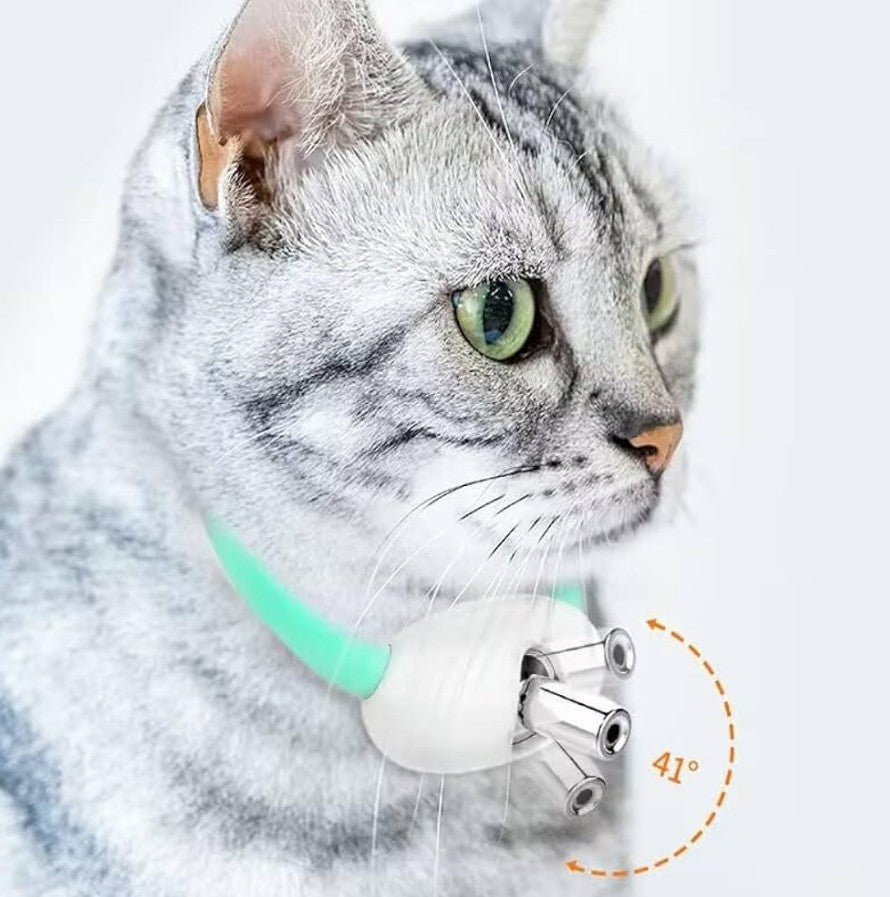 🐱 Diversión y Ejercicio para Perros y Gatos con el Collar Láser Interactivo 🐶