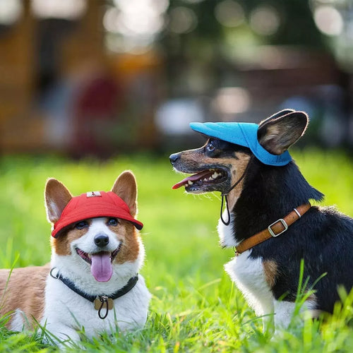 🧢Gorra Beisbolera para Peluditos: Estilo, Comodidad y Protección al Sol 🐾