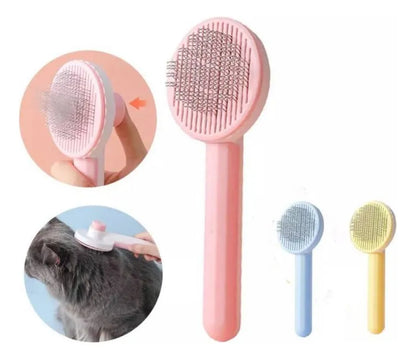 Diversión y Cuidado en un Solo Combo para Tu Peludo