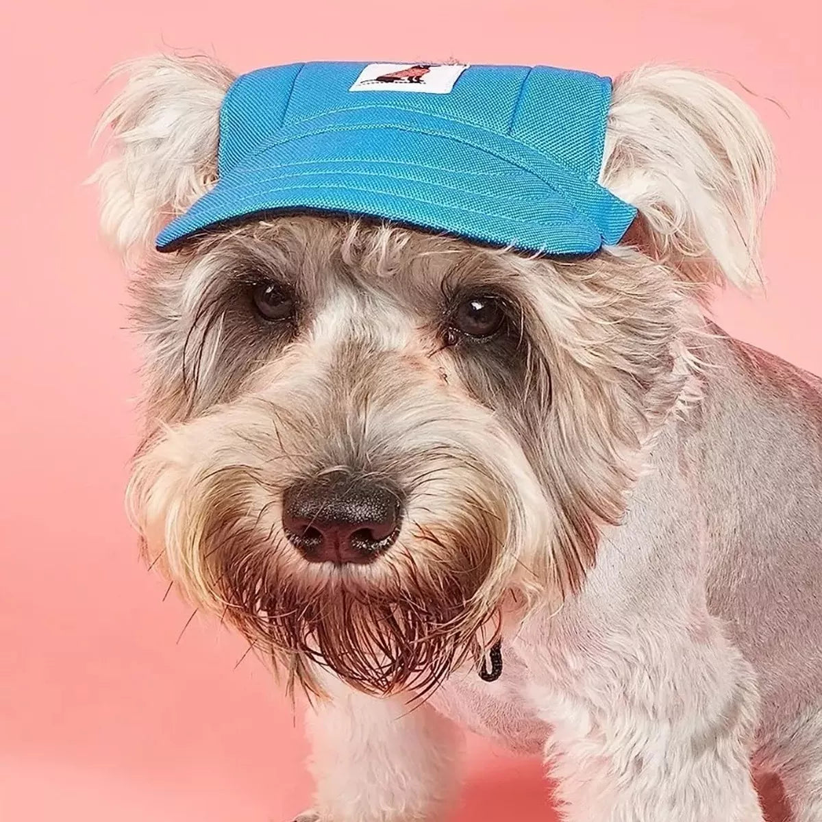 🧢Gorra Beisbolera para Peluditos: Estilo, Comodidad y Protección al Sol 🐾