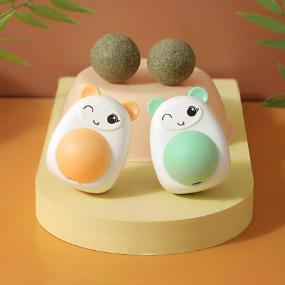 Diversión y Cuidado en un Solo Combo para Tu Peludo