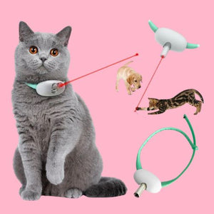 🐱 Diversión y Ejercicio para Perros y Gatos con el Collar Láser Interactivo 🐶