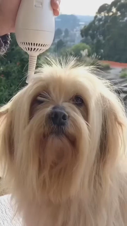 Secador Mágico Para Mascotas 🐶🐱