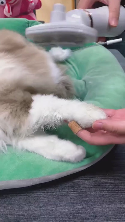 Secador Mágico Para Mascotas 🐶🐱